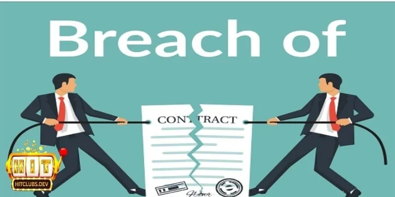 Chi tiết các điều khoản miễn trừ nghĩa vụ pháp lý 